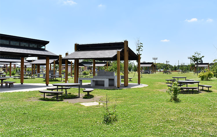 綾瀬スポーツ公園
